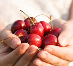 Zagare Cherry Festival